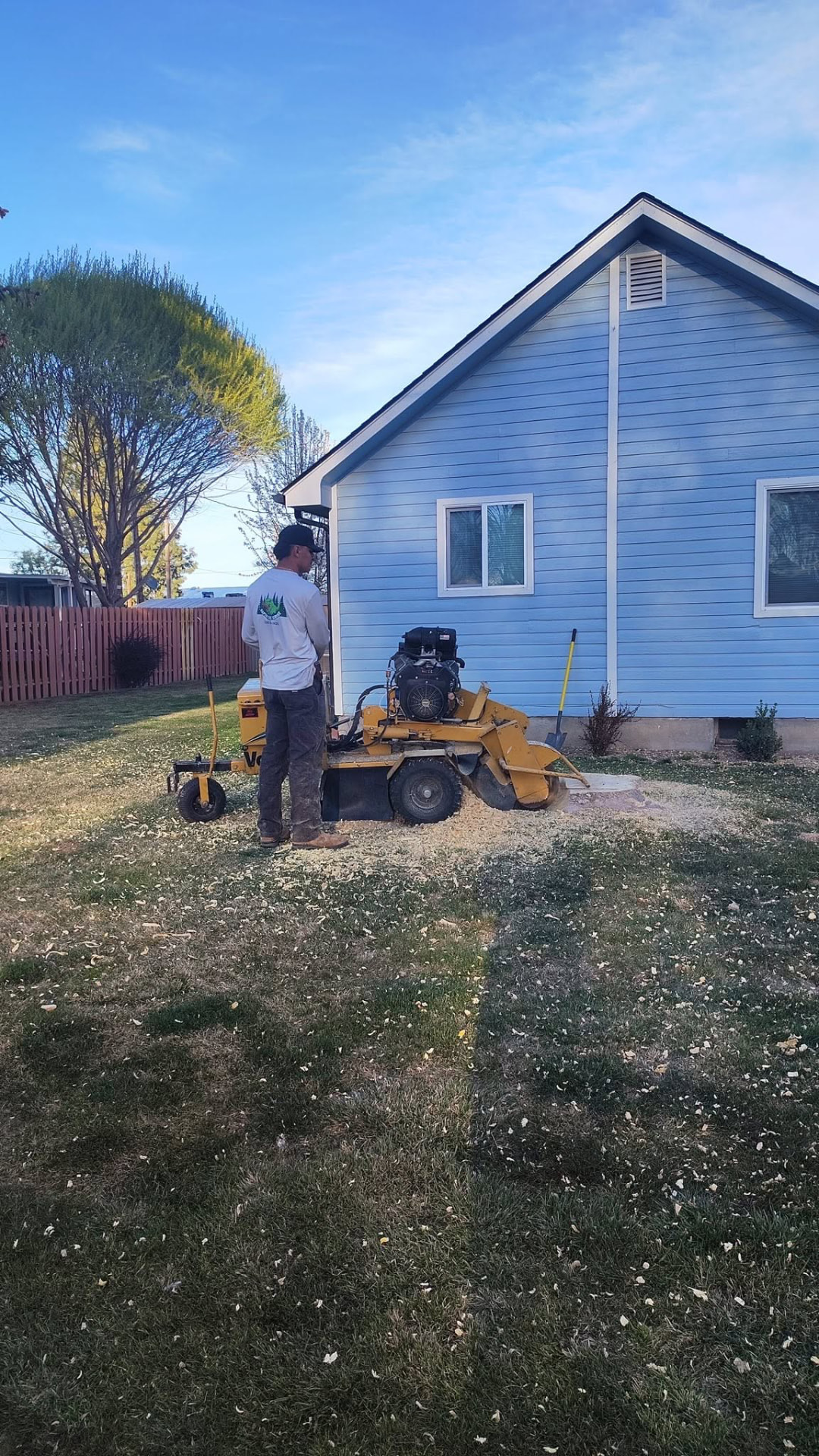 Worker operating a yellow stump grinder on a backyard stump beside a home