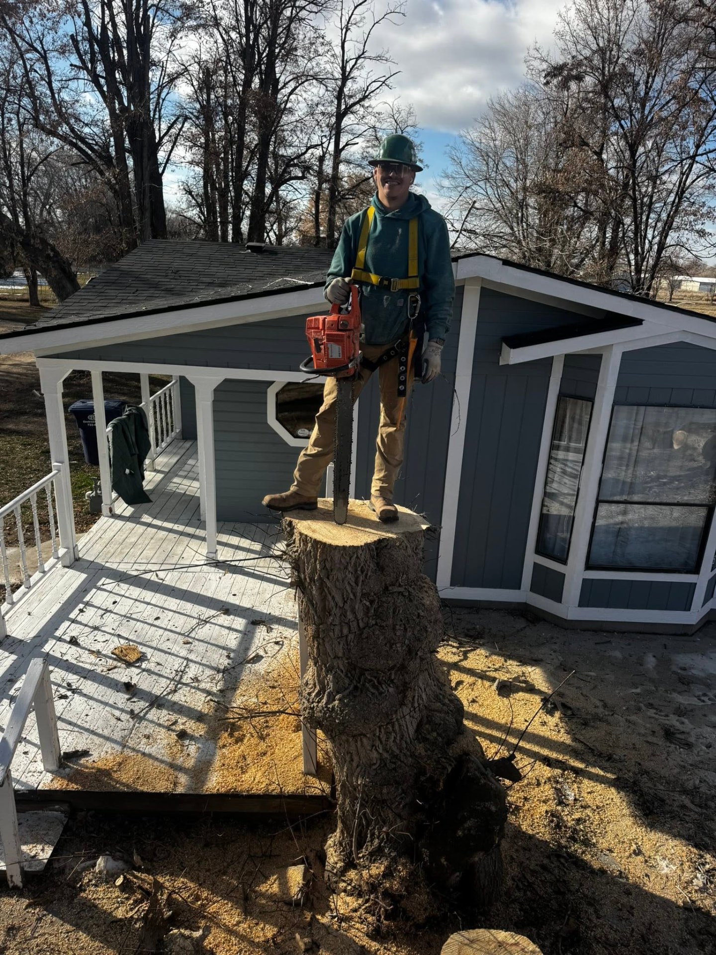 Emilio, certified arborist and owner of Raptor Tree Service