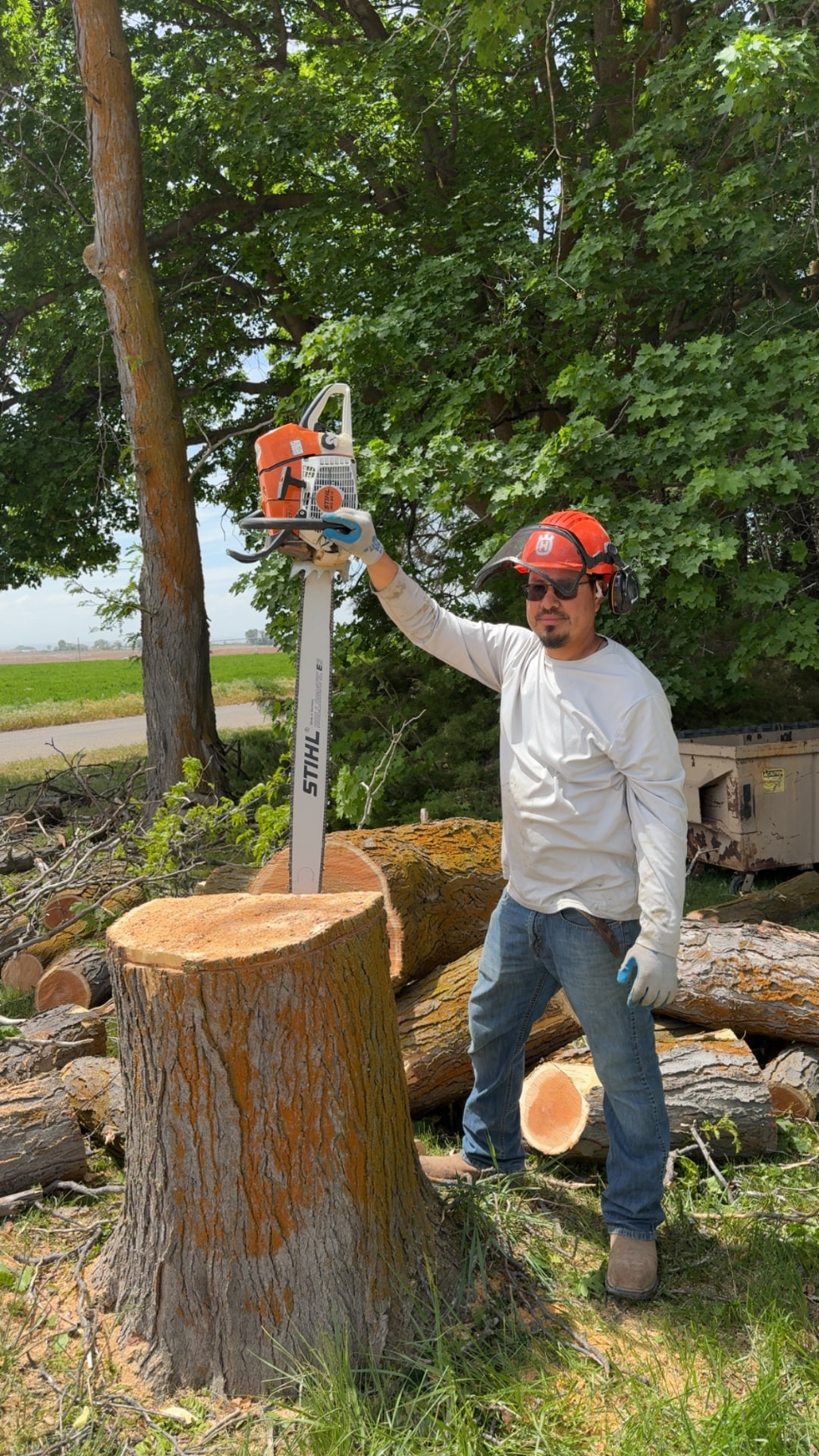 Crew member with a STIHL chainsaw resting on a freshly cut stump